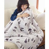 シュナウザー・グレー | Fashion Letter ファッションレター | Fashion Letter