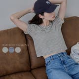 etoll エトル シアーボーダークロップドTシャツ | Fashion Letter | 詳細画像1