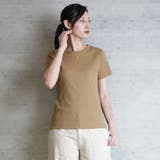 ベージュ | aity アイティ コンパクトコットンリブT | Fashion Letter