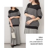 aity アイティ パネルボーダードルマンニット | Fashion Letter | 詳細画像6 