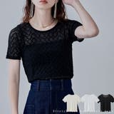 etoll エトル ストレッチレースハーフスリーブトップス | Fashion Letter | 詳細画像1