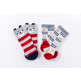 グレー | 2足組 新生児 ハイソックス | Filloie