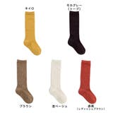 単品 ハイソックス 無地 | Filloie | 詳細画像3