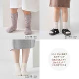 【sot sak ソトサク | Filloie | 詳細画像2 