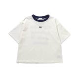 アソートカラバリT1 | F.O.Online Store | 詳細画像14 