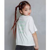 ミント | アソートカラバリT1 | F.O.Online Store