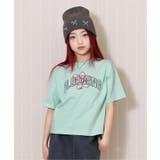 ミント | アソートカラバリT2 | F.O.Online Store