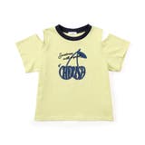 チェリーロゴカラバリTシャツ | F.O.Online Store | 詳細画像17 