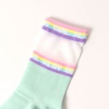 レインボーリブシースルークルーソックス | F.O.Online Store | 詳細画像2