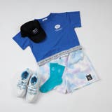 ポップカラーシースルークルーソックス | F.O.Online Store | 詳細画像19 