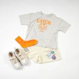 ポップカラーシースルークルーソックス | F.O.Online Store | 詳細画像21 
