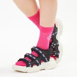 ピンク | ポップカラーシースルークルーソックス | F.O.Online Store