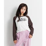 ブラウン | シャーリングリブロンT | F.O.Online Store