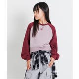 エンジ | ラグラントレーナー | F.O.Online Store