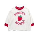 【リンク】ユニークサガラワッペンロンT | F.O.Online Store | 詳細画像12