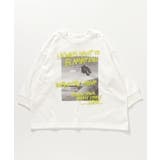 オフホワイト | WEB限定 カラバリロンT | F.O.Online Store