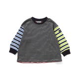 WEB限定  無地・ボーダーTシャツ | F.O.Online Store | 詳細画像13 