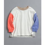 レインボー | WEB限定  無地・ボーダーTシャツ | F.O.Online Store