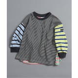 マルチカラー1 | WEB限定  無地・ボーダーTシャツ | F.O.Online Store