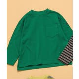 グリーン | WEB限定 無地ボーダー長袖Tシャツ | F.O.Online Store