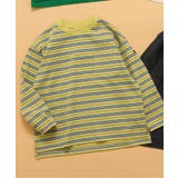ライム | WEB限定 無地ボーダー長袖Tシャツ | F.O.Online Store