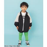 【26春新作】DAISUKIリブパンツ | F.O.Online Store | 詳細画像4 