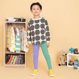 DAISUKI リブパンツ  9分丈 | F.O.Online Store | 詳細画像18 