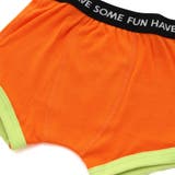 BOYSカラバリボクサーパンツ | F.O.Online Store | 詳細画像7