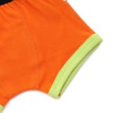 BOYSカラバリボクサーパンツ | F.O.Online Store | 詳細画像8