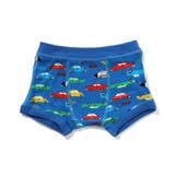 ブルー | BOYSボクサーパンツ | F.O.Online Store
