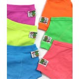 アソートネオンボクサーパンツ | F.O.Online Store | 詳細画像10 