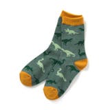 グリーン | BOYS総柄いろいろソックス | F.O.Online Store