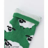 BOYSいろいろソックス | F.O.Online Store | 詳細画像3 