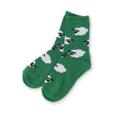 グリーン | BOYSいろいろソックス | F.O.Online Store