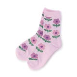ピンク | GIRLSバラエティーソックス | F.O.Online Store