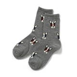 グレー | BOYSバラエティーソックス | F.O.Online Store