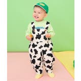 Bpop ハイソックス | F.O.Online Store | 詳細画像8 