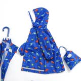 ブルー | 4柄レインコート | F.O.Online Store