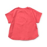 アイス&フルーツジュースTシャツ | F.O.Online Store | 詳細画像8