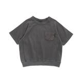 ピグメントカラバリTシャツ | F.O.Online Store | 詳細画像2 