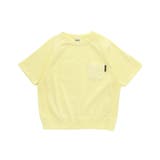 ピグメントカラバリTシャツ | F.O.Online Store | 詳細画像20 