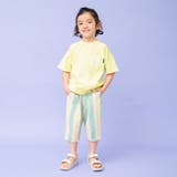 ピグメントカラバリTシャツ | F.O.Online Store | 詳細画像22 