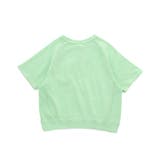 ピグメントカラバリTシャツ | F.O.Online Store | 詳細画像7 