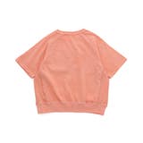 ピグメントカラバリTシャツ | F.O.Online Store | 詳細画像8 