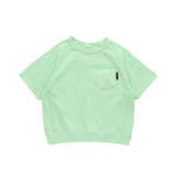 グリーン | ピグメントカラバリTシャツ | F.O.Online Store