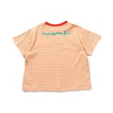 ミジンボーダーTシャツ | F.O.Online Store | 詳細画像10 