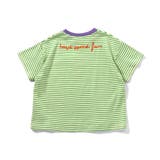 ミジンボーダーTシャツ | F.O.Online Store | 詳細画像3 