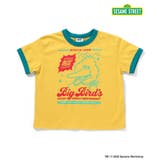 WEB限定 セサミストリートTシャツ | F.O.Online Store | 詳細画像13 