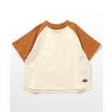 WEB限定 ラグランTシャツ | F.O.Online Store | 詳細画像5