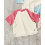 ピンク | WEB限定 ラグランTシャツ | F.O.Online Store